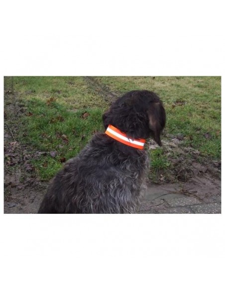 Honden signaalband metalen sluiting oranje signaal lengt 60cm