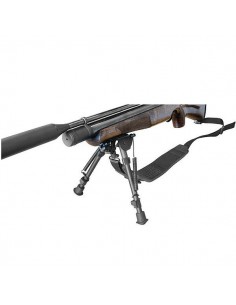 Bipod Deben 2010 15 tot...