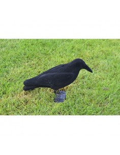 Lokkraai geflockt per 5 stuks