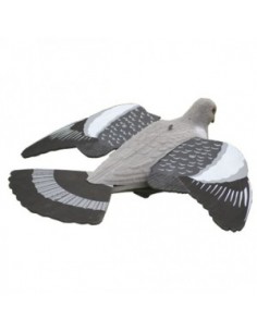 Lokduif vliegend geflockt...