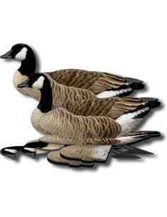 Lokvogel gans FUD Canada gans