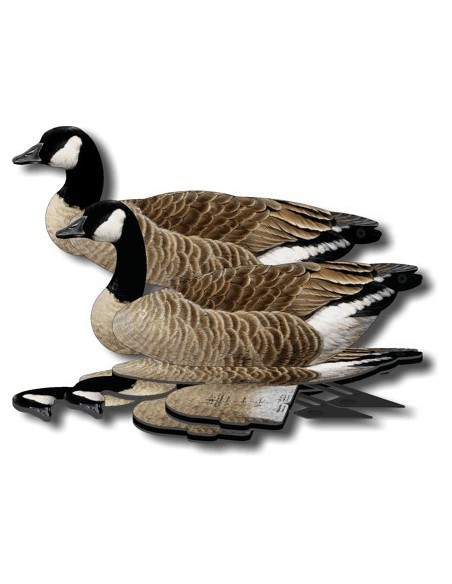 Lokvogel gans FUD Canada gans