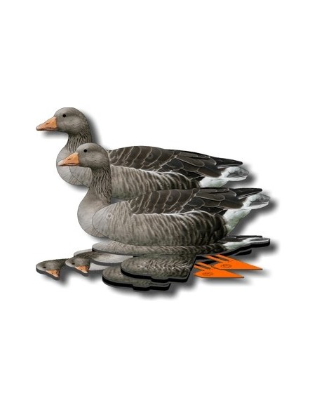 Lokvogel gans FUD Grauwe gans