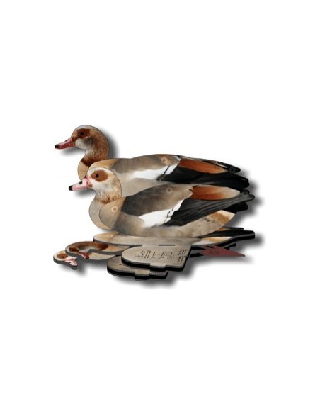 Lokvogel gans FUD Nijlgans