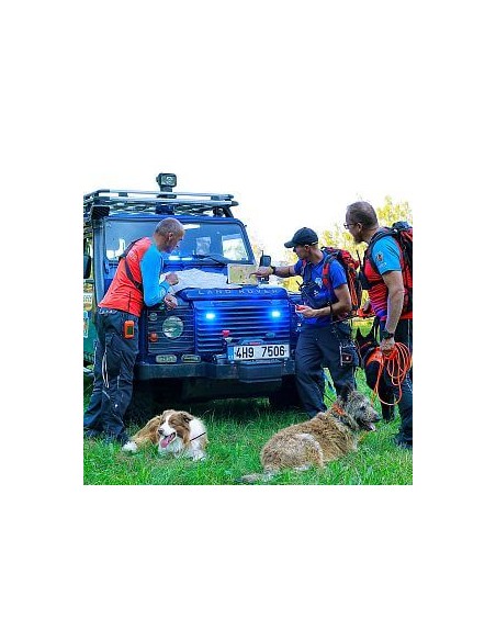 Dogtrace GPS Tracking & Training system X30