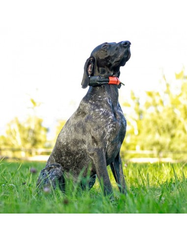 Dogtrace GPS Tracking & Training system X30