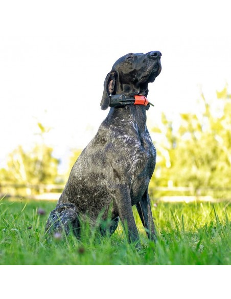 Dogtrace GPS Tracking & Training system X30