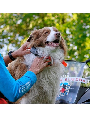 Dogtrace GPS Tracking & Training system X30