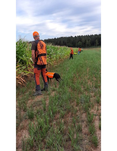 Dogtrace GPS Tracking & Training system X30