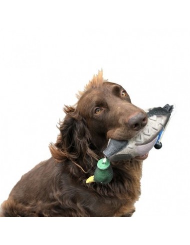 Honden dummy  eend/woerd EVA