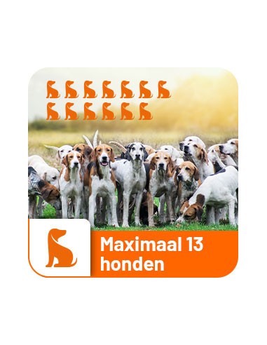 Dogtrace GPS Tracking & Training system X30