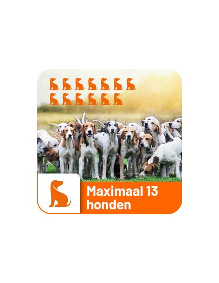 Dogtrace GPS Tracking & Training system X30