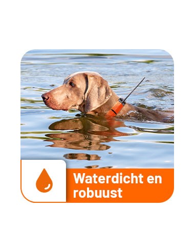 Dogtrace GPS Tracking & Training system X30