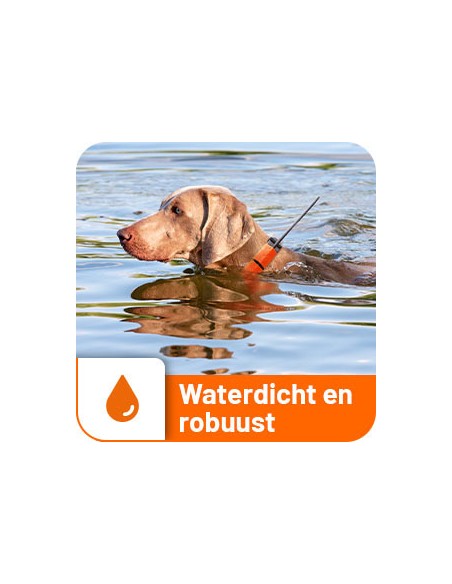 Dogtrace GPS Tracking & Training system X30