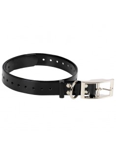 Dogtrace vervangende...