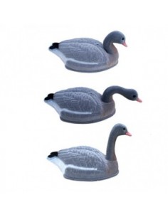 Lokvogel grauwe gans... 2