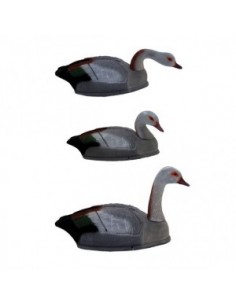 Lokvogel gans- Nijlgans...