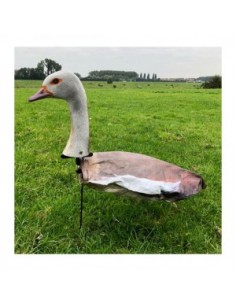 Gans Windecoy Nijlgans met...