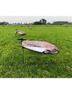 Gans Windecoy Nijlgans...