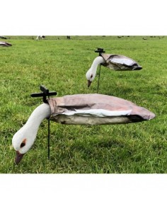 Gans Windecoy Nijlgans met... 2