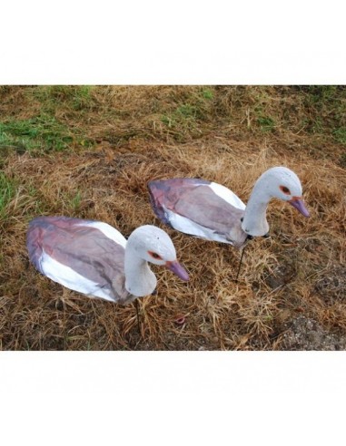 Gans Windecoy Nijlgans met kop 10 stuks