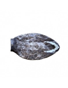 Gans Windecoy Grauwe gans... 2