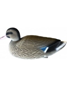 Lokeend set- eend en woerd 2