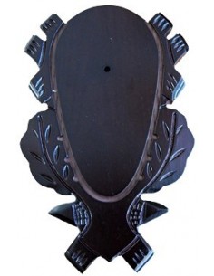 Trofee plankje reebok 24x15 cm